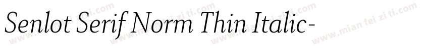 Senlot Serif Norm Thin Italic字体转换